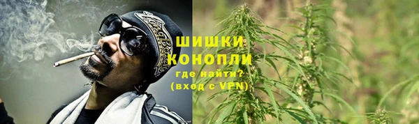 твердый Лиски