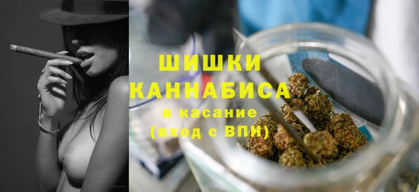 молекула духа Лихославль