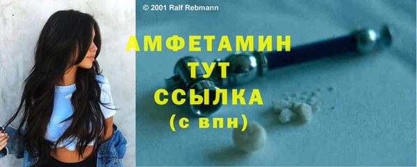 молекула духа Лихославль