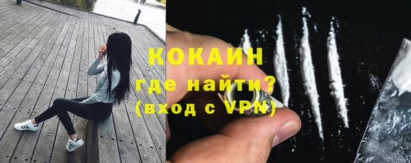 твердый Лиски