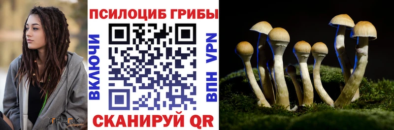 Галлюциногенные грибы ЛСД  закладка  Пятигорск 