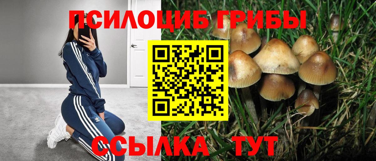 Псилоцибиновые грибы прущие грибы  Вход с VPN  Пятигорск 