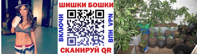 купить закладку  маркетплейс наркотические препараты  mega ссылка  Бошки марихуана VHQ  Пятигорск 