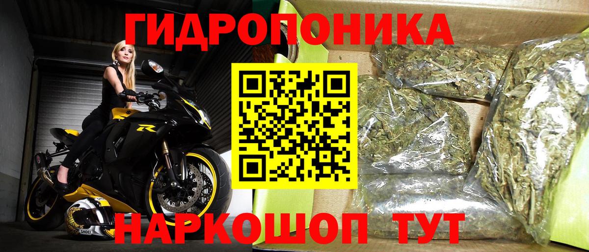Каннабис SATIVA & INDICA  Конопля конопля  Вход с VPN  Каннабис сатива  Пятигорск 
